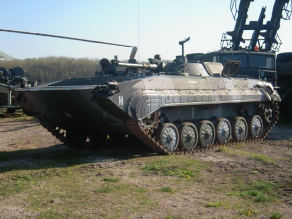 BMP1_1.jpg